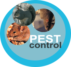 Pest Control